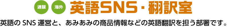 英語SNS・翻訳室