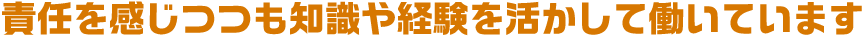 責任を感じつつも知識や経験を活かして働いています