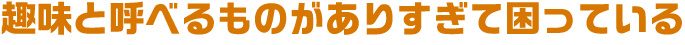 趣味と呼べるものがありすぎて困っている